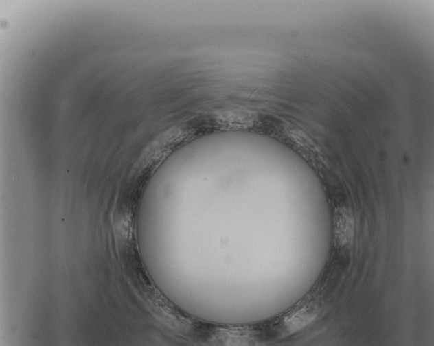 X0000063500713200601271745