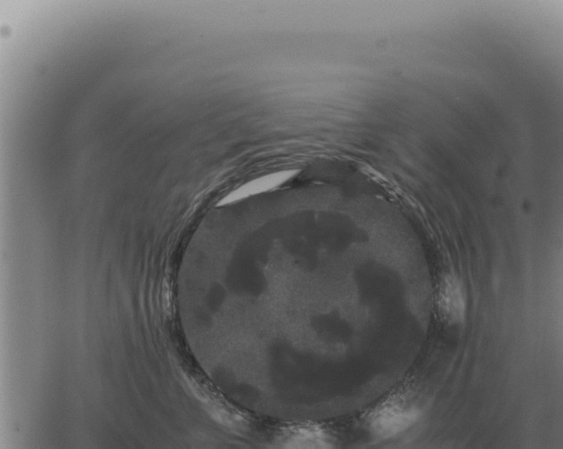 X0000063500715200601271745