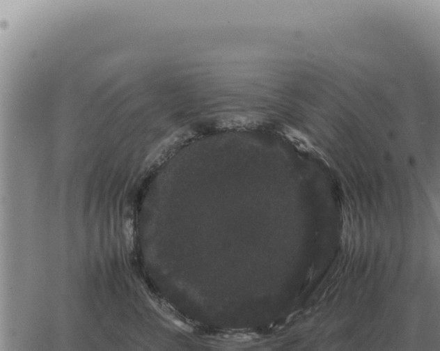 X0000063500716200601271745