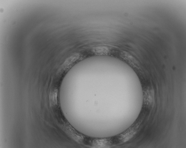 X0000063500717200601271745