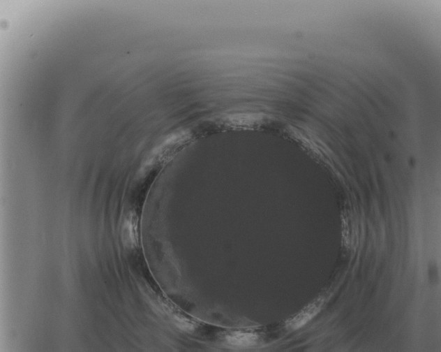 X0000063500718200601271745