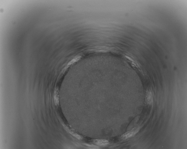 X0000063500719200601271745