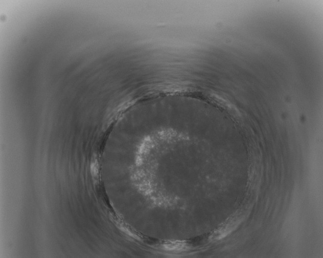 X0000063500720200601271745