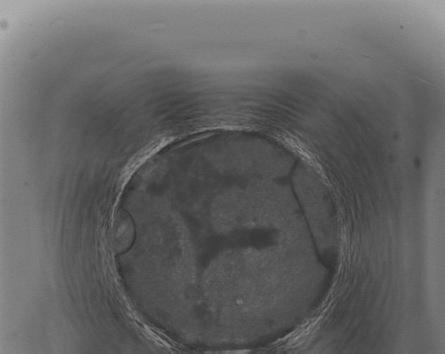 X0000063500721200601271744