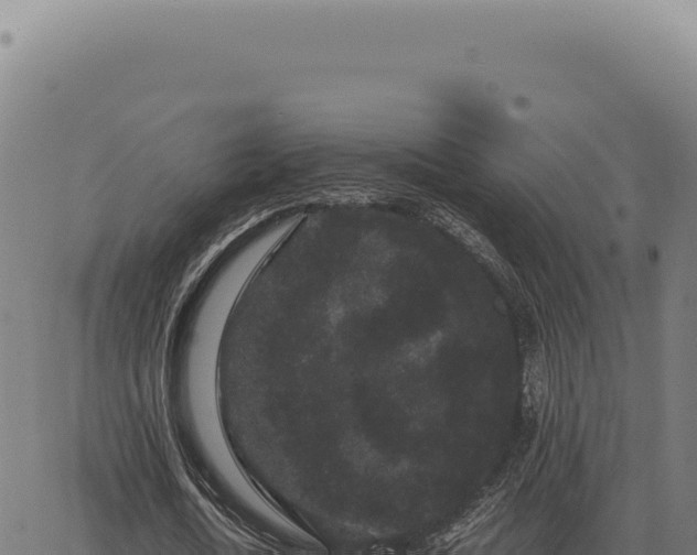 X0000063500722200601271744