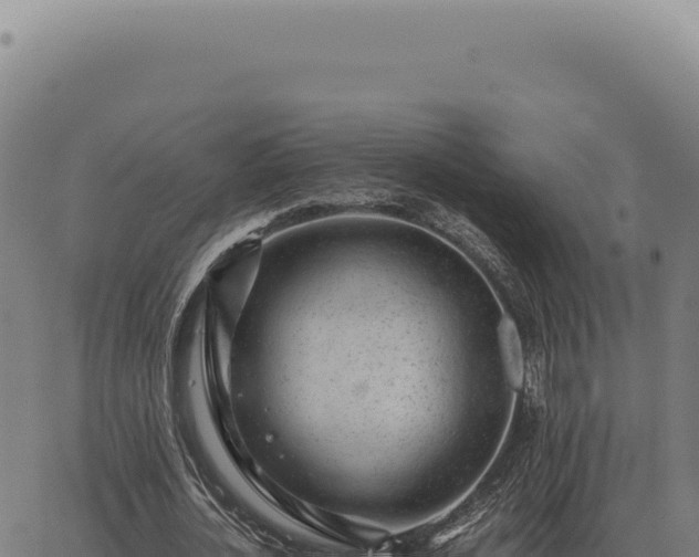 X0000063500724200601271744