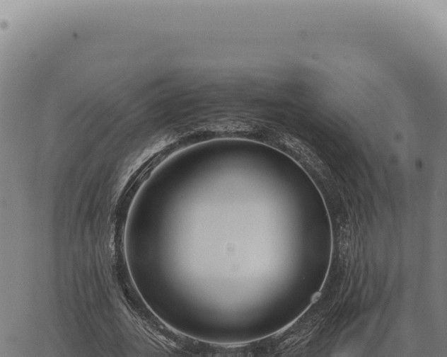 X0000063500727200601271744