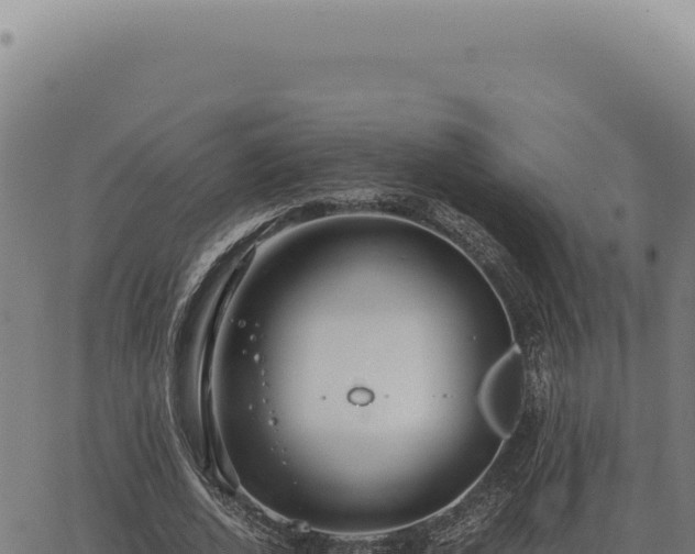 X0000063500728200601271744