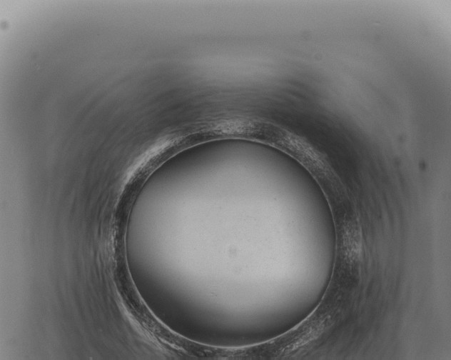 X0000063500730200601271744