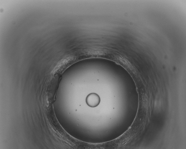 X0000063500731200601271744