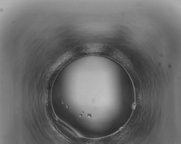 X0000063500732200601271744