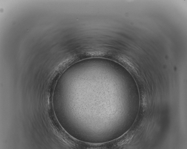 X0000063500733200601271744