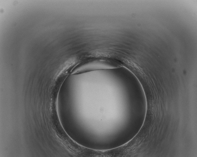 X0000063500735200601271744