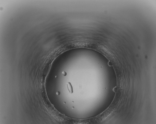 X0000063500737200601271744