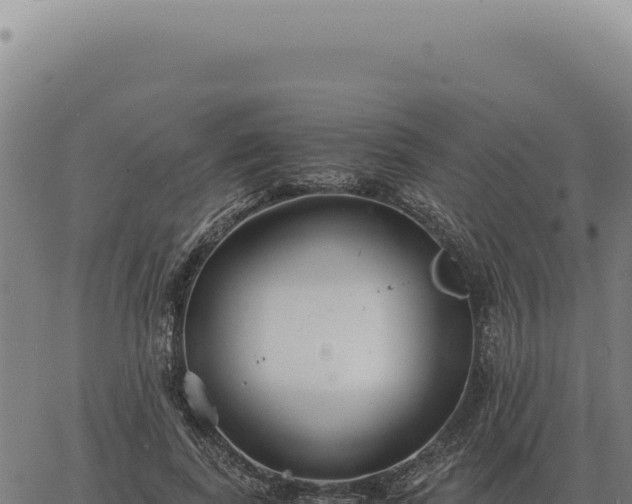 X0000063500739200601271744