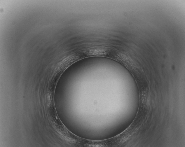 X0000063500741200601271744