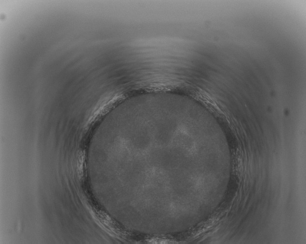 X0000063500742200601271744