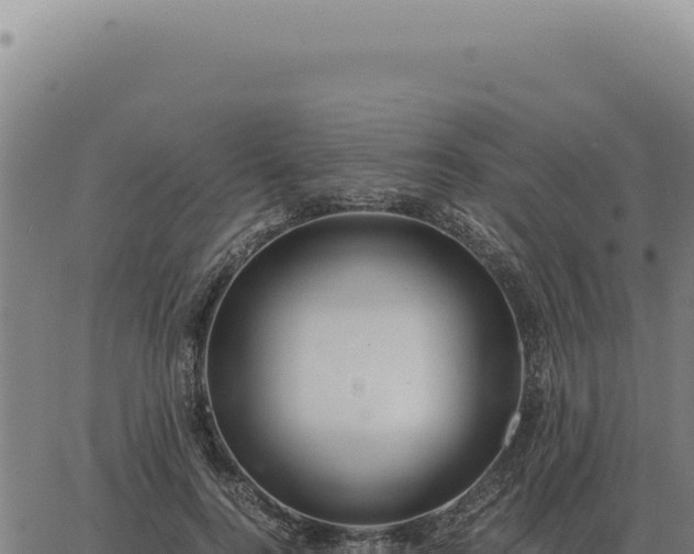 X0000063500744200601271744