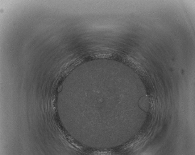 X0000063500745200601271744