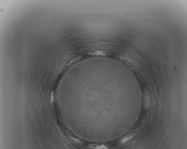 X0000063500747200601271744