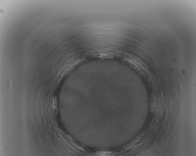 X0000063500748200601271744