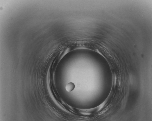 X0000063500750200601271745