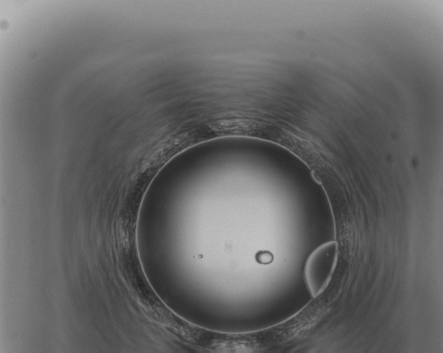 X0000063500751200601271745