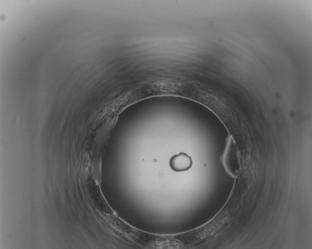 X0000063500752200601271745