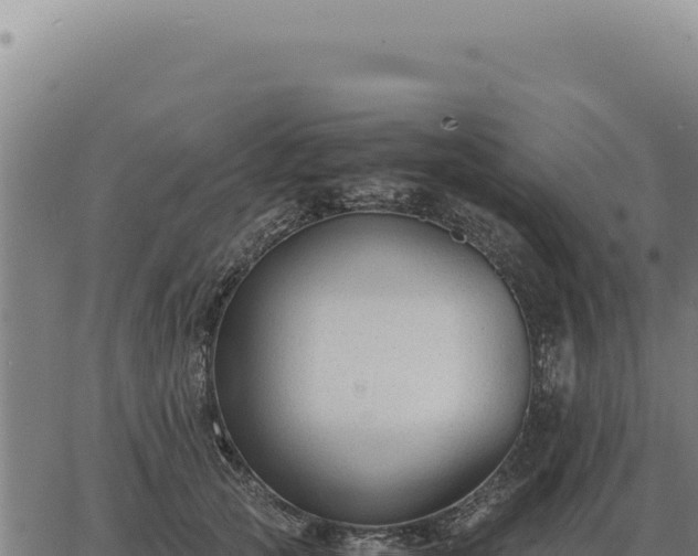 X0000063500753200601271745