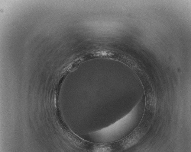 X0000063500754200601271745