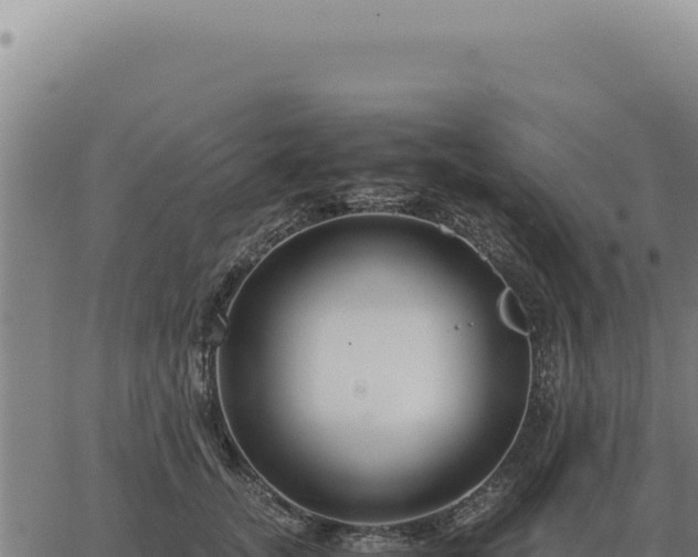 X0000063500755200601271745