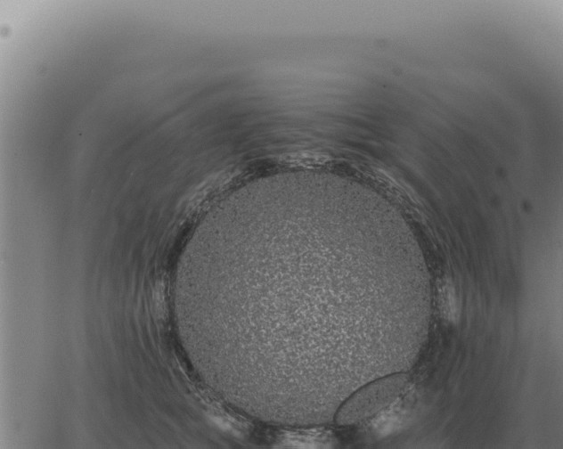 X0000063500757200601271745