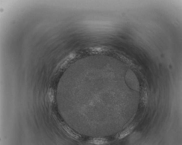 X0000063500758200601271745