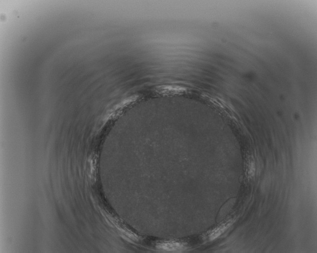 X0000063500759200601271745