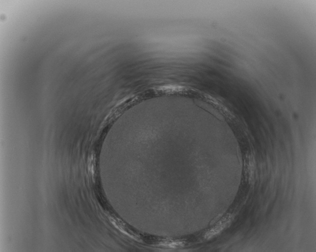 X0000063500760200601271745