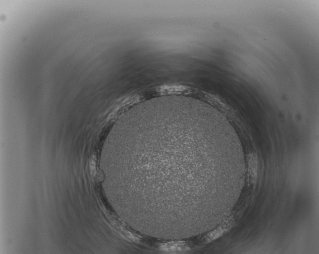 X0000063500761200601271745