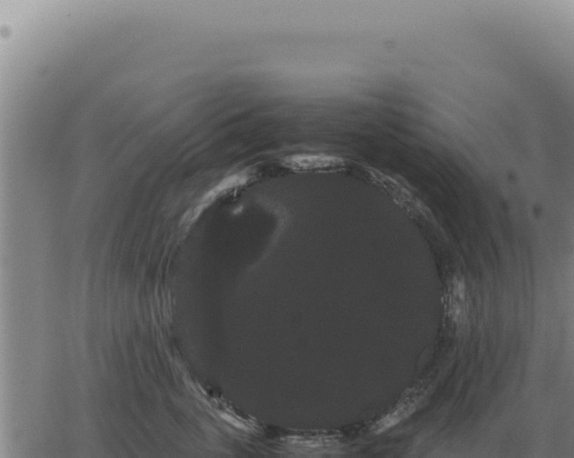 X0000063500763200601271745