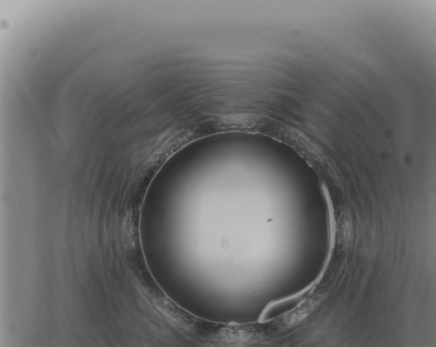 X0000063500764200601271745