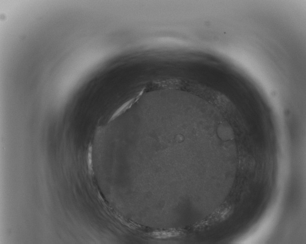 X0000063500765200601271745