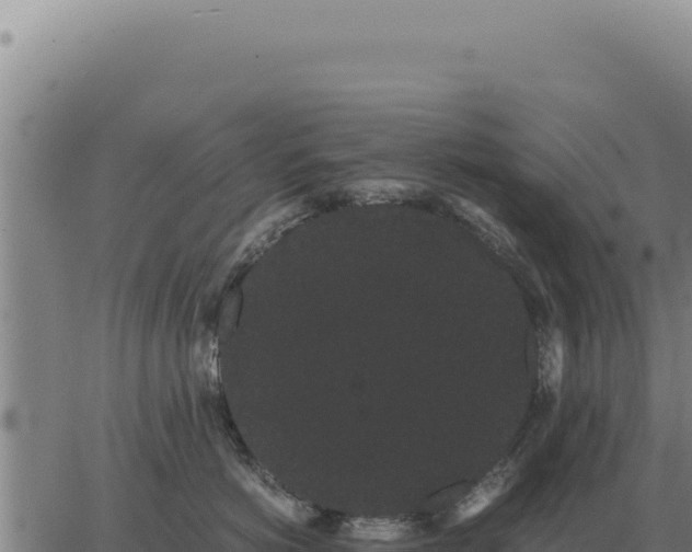 X0000063500766200601271745