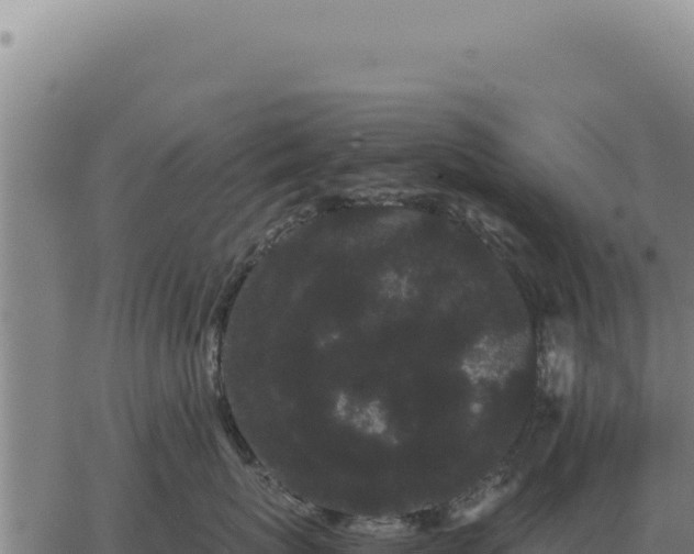 X0000063500767200601271745