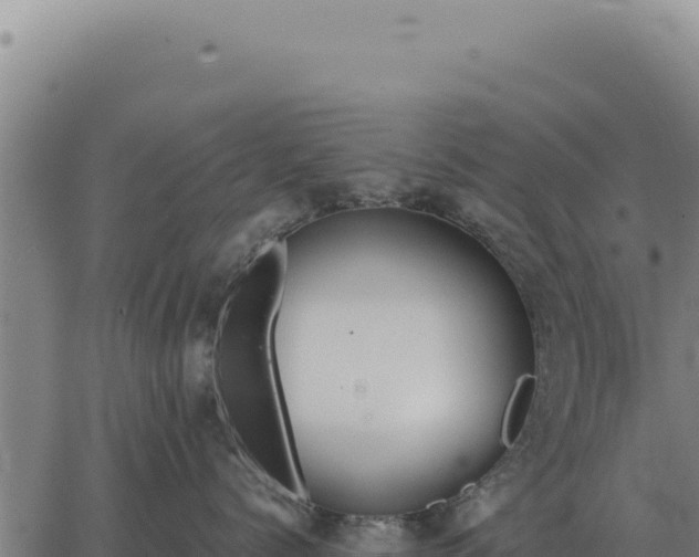 X0000063500768200601271745