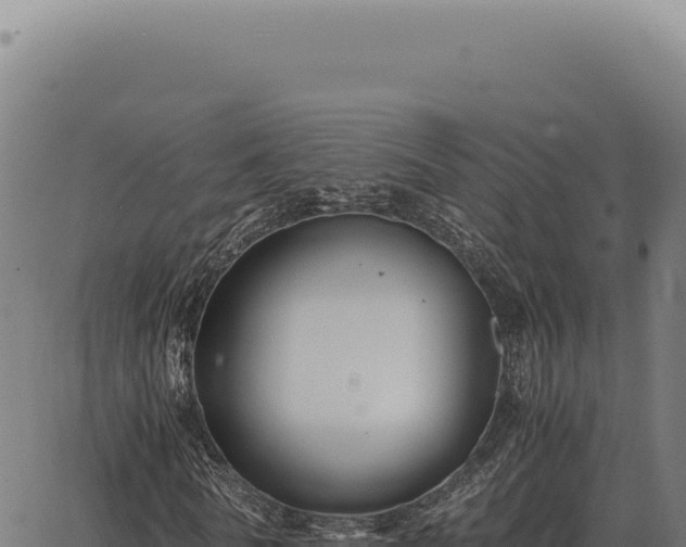 X0000063500770200601271744