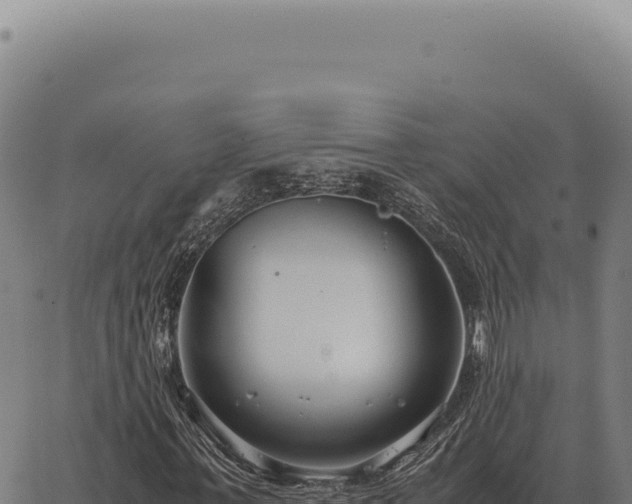 X0000063500771200601271744