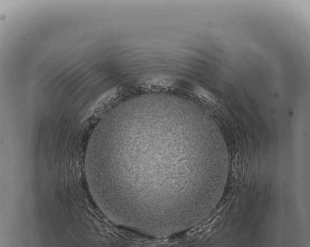 X0000063500774200601271744