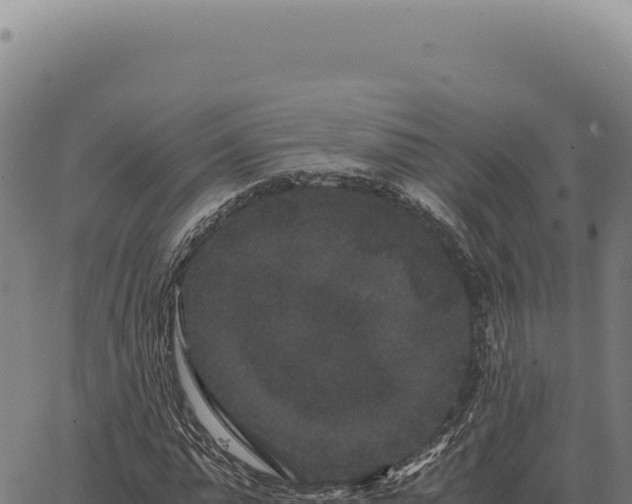 X0000063500775200601271744