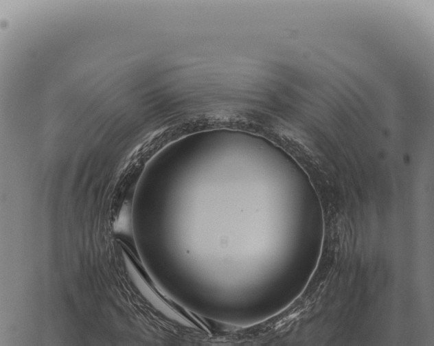 X0000063500776200601271744