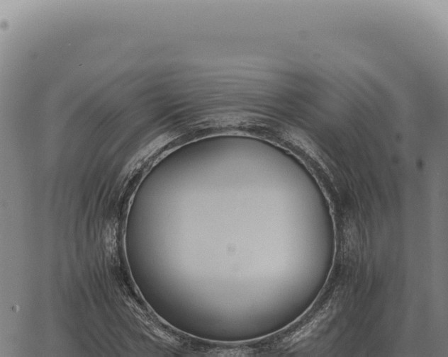 X0000063500778200601271744