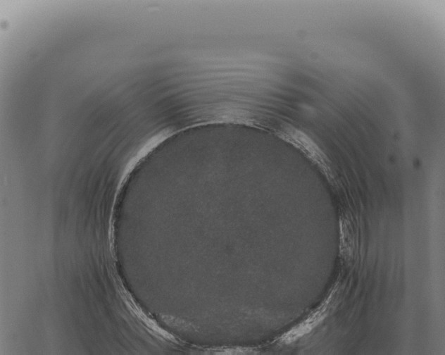 X0000063500780200601271744