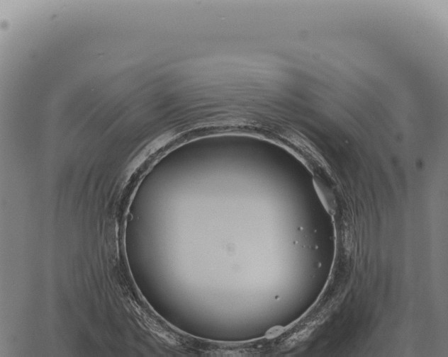 X0000063500781200601271744